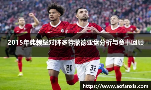 2015年弗赖堡对阵多特蒙德亚盘分析与赛事回顾