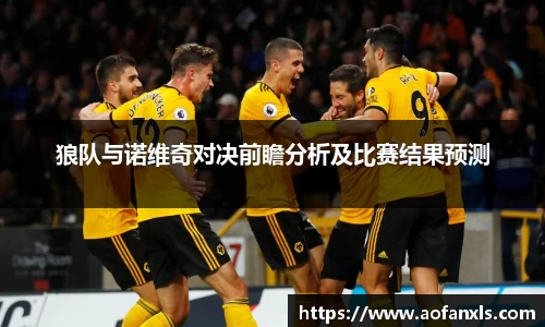 狼队与诺维奇对决前瞻分析及比赛结果预测