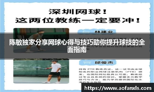 陈敏独家分享网球心得与技巧助你提升球技的全面指南
