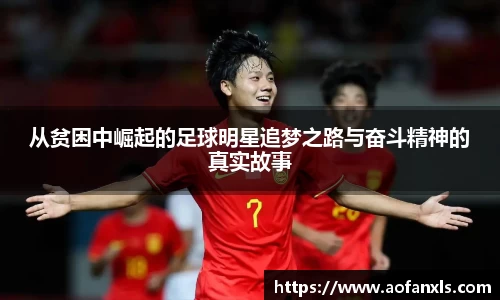 365WM完美体育官方app