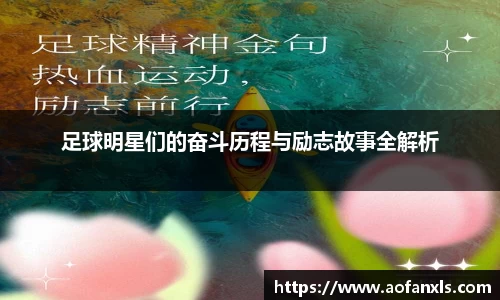 365WM完美体育官网