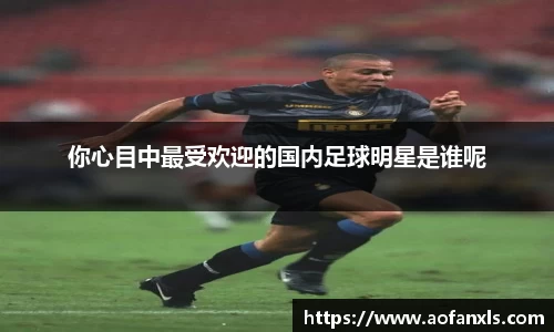 你心目中最受欢迎的国内足球明星是谁呢