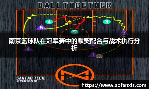 南京篮球队在冠军赛中的默契配合与战术执行分析