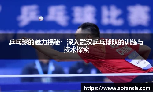 365WM完美体育官网